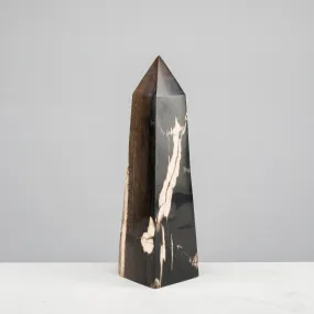 12 Black Petrified Wood Obelisk Point